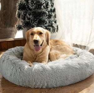 Cama Relax Kory™