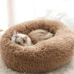 Cama Relax Kory™