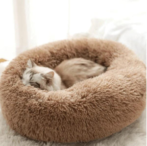 Cama Relax Kory™