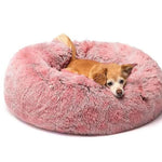 Cama Relax Kory™