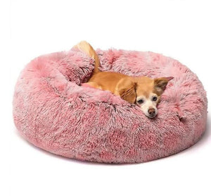 Cama Relax Kory™