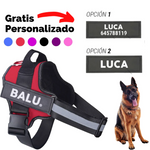 Arnês Personalizável Kory